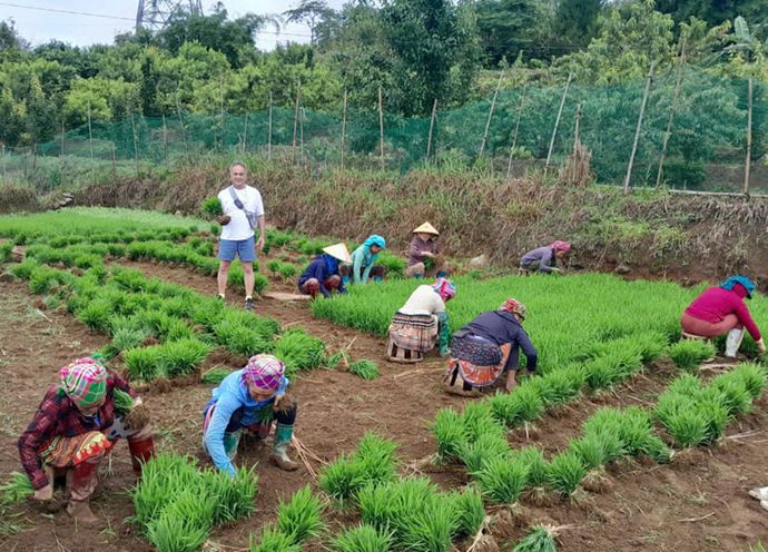 It’s rice season up north Vietnam, time to dive in like Alan! - 4 June 2025