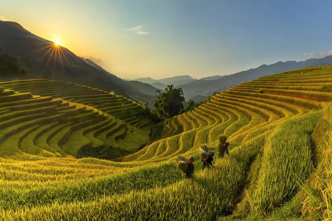 Vietnam in November: Weather, Practical Tips, and Top Attractions