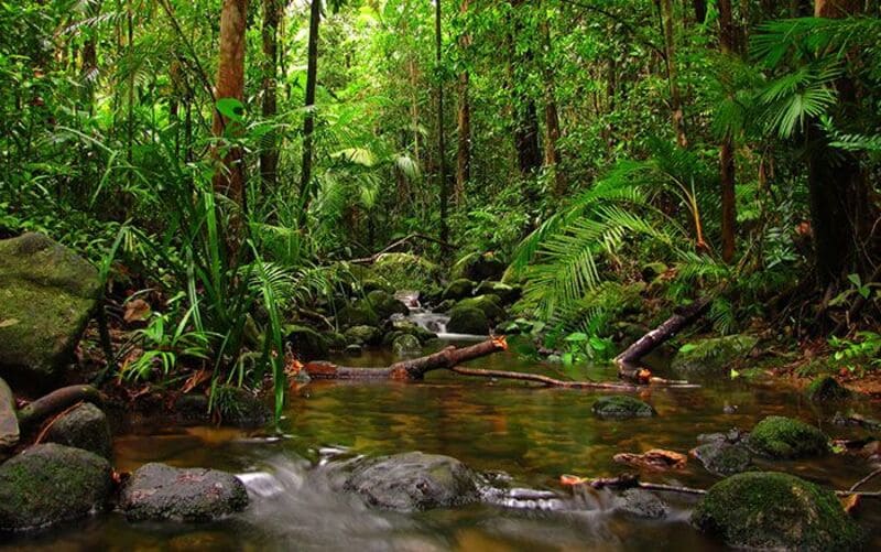 Las 4 mejores rutas de senderismo en el Parque Nacional de Phu Quoc