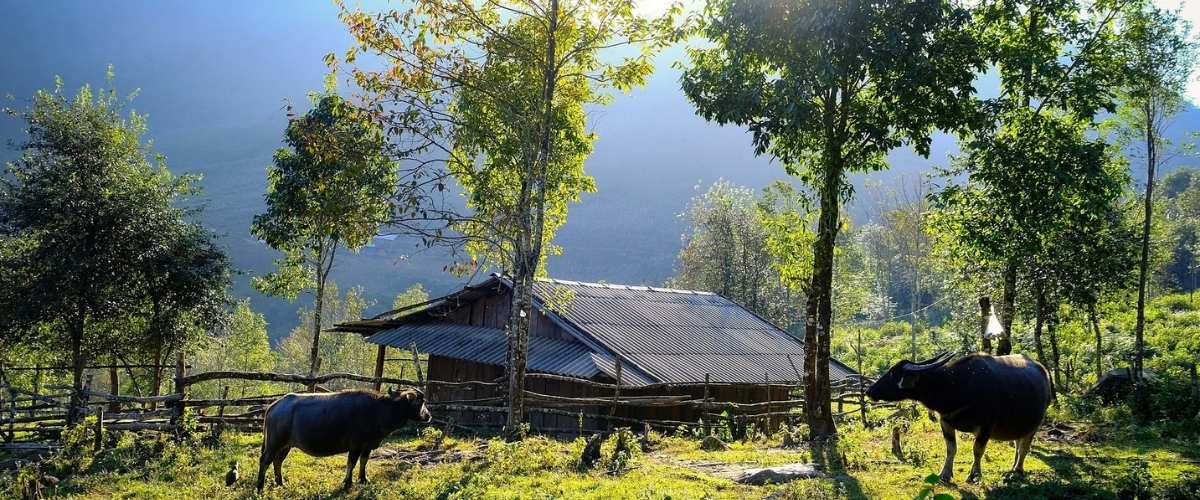 LUNG CUNG: UNA MAGNÍFICA RUTA DE TREKKING EN EL TECHO DE MU CANG CHAI