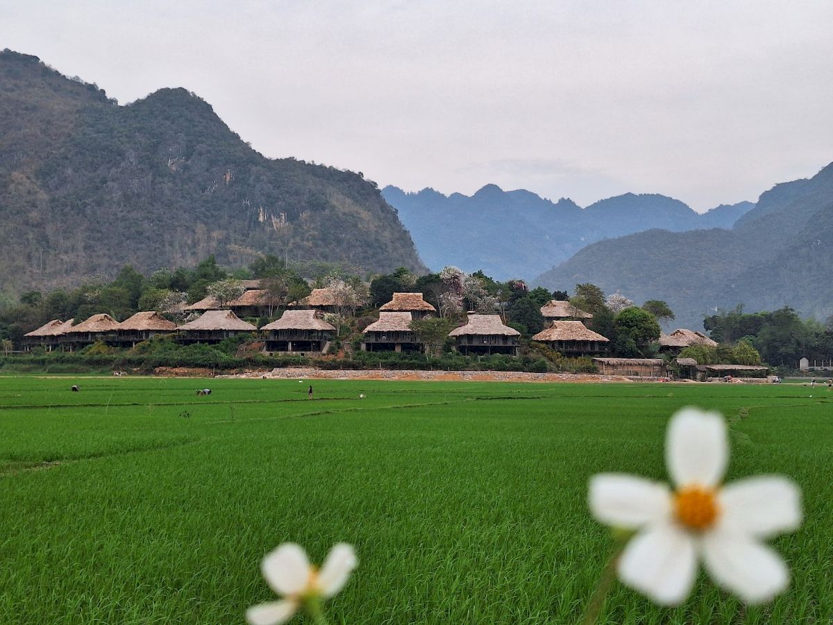 Mi ruta por Pu Luong, una joya cultural, forestal y acuática