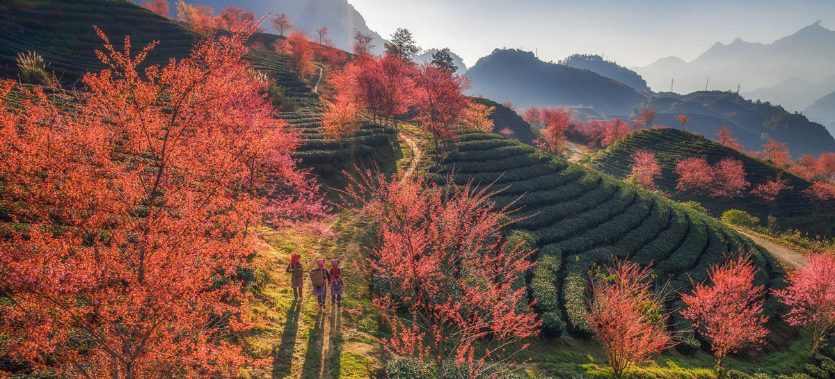 What to Do in Sapa? Top 9 no-crowd experiences you can’t miss