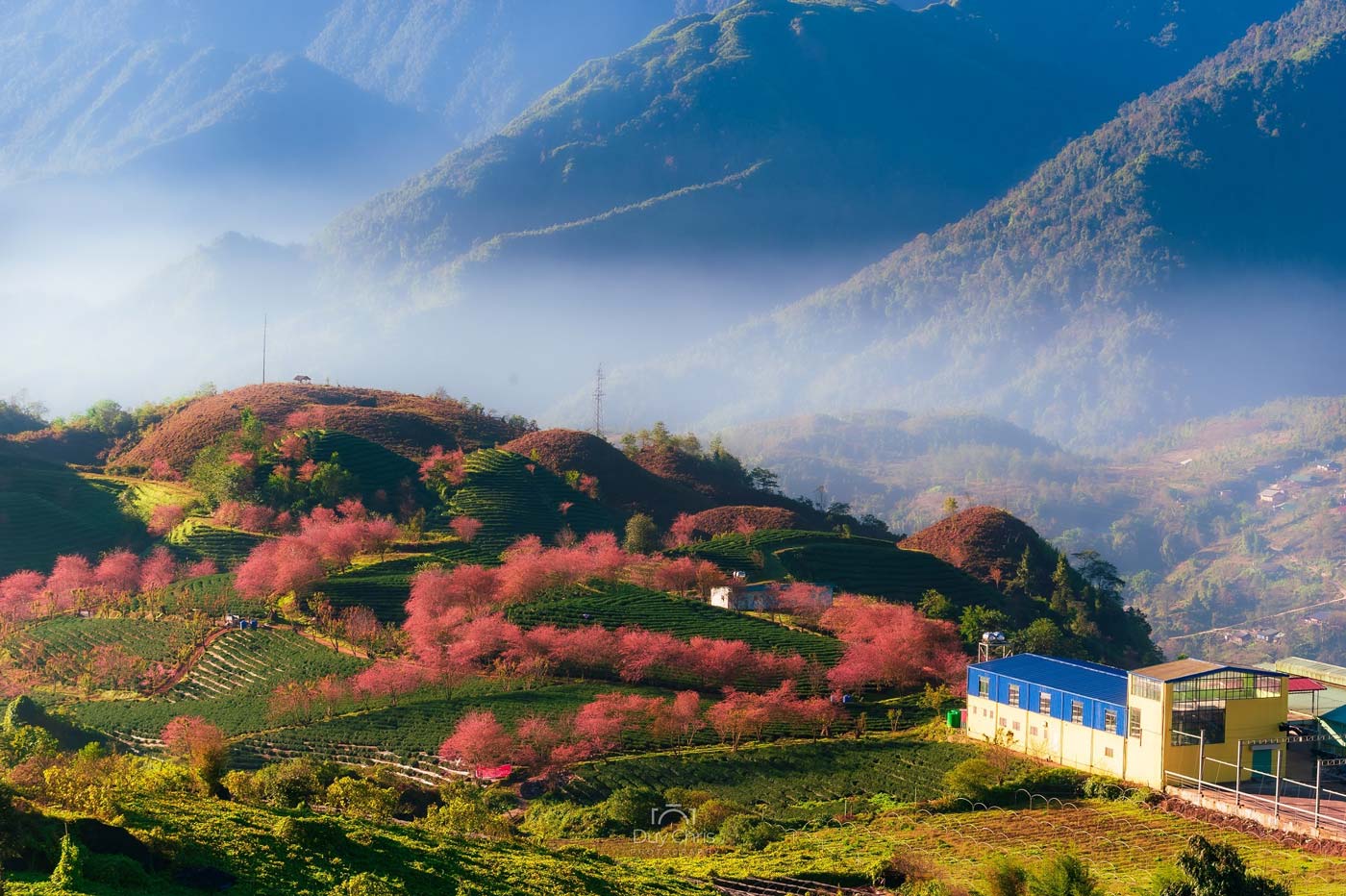 Best Time to Visit North Vietnam in 2025? Top 10 Must-See Places