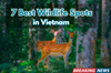 7 Best Wildlife Watching Spots in Vietnam