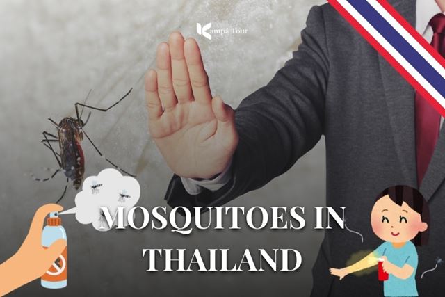 How to protect yourself from mosquitoes in Thailand?