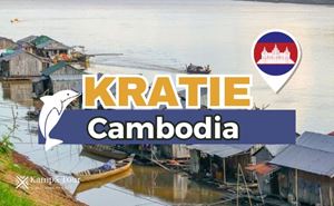 Discovery of Kratie Cambodia: Place of the Mekong River Dolphins