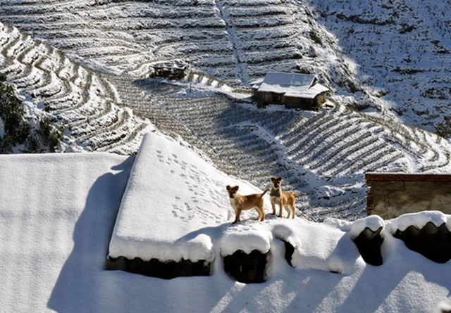 Sapa Weather in December: What to Expect for Your Winter Trip