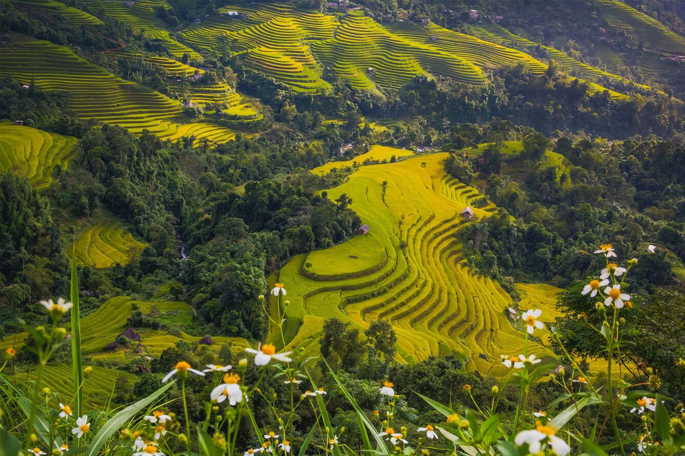 Explora Bac Ha: La tierra étnica del noroeste de Vietnam