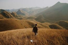 Ba Quang Burning Grass Hill: Poetry in the Great Forest of Cao Bang