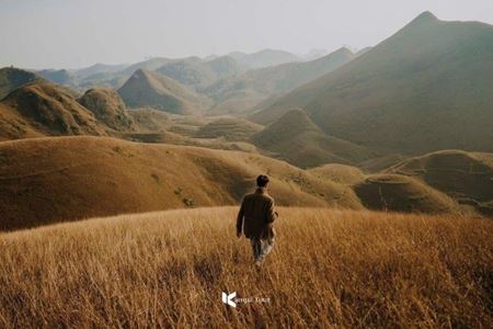 Ba Quang Burning Grass Hill: Poetry in the Great Forest of Cao Bang