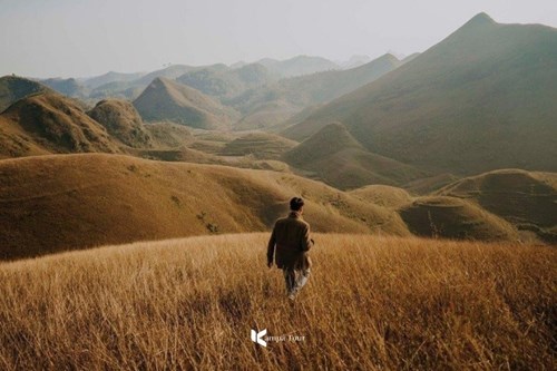 Ba Quang Burning Grass Hill: Poetry in the Great Forest of Cao Bang
