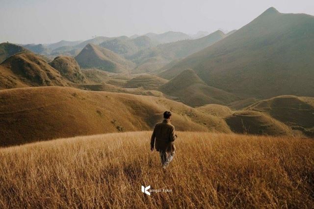 Ba Quang Burning Grass Hill: Poetry in the Great Forest of Cao Bang