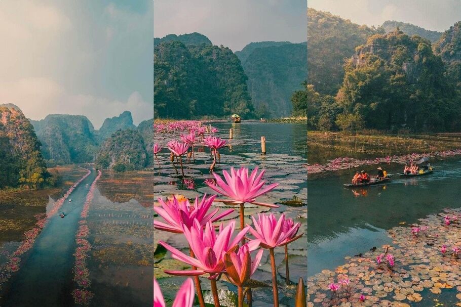 Ninh Binh in September: Two Weeks to Avoid, Two to Book