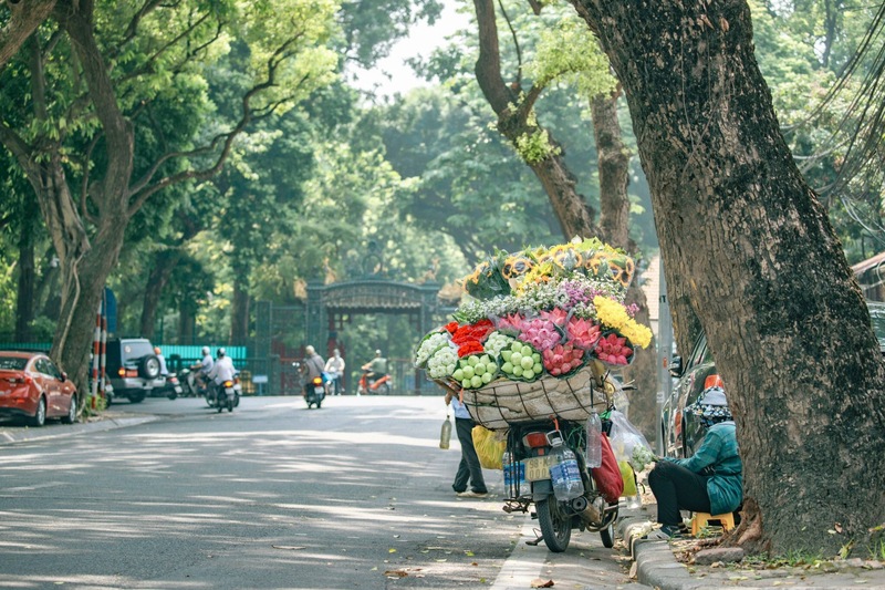 Las 5 actividades imprescindibles durante el otoño en Hanoi