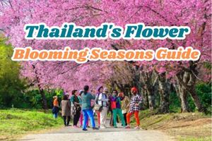 Thailands Flower Blooming Seasons Guide