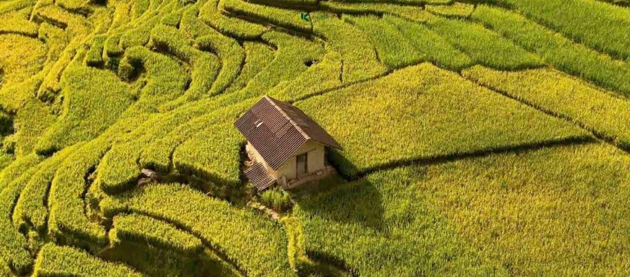 How to Spot a Bad Tour Operator in Vietnam: 10 Warning Signs