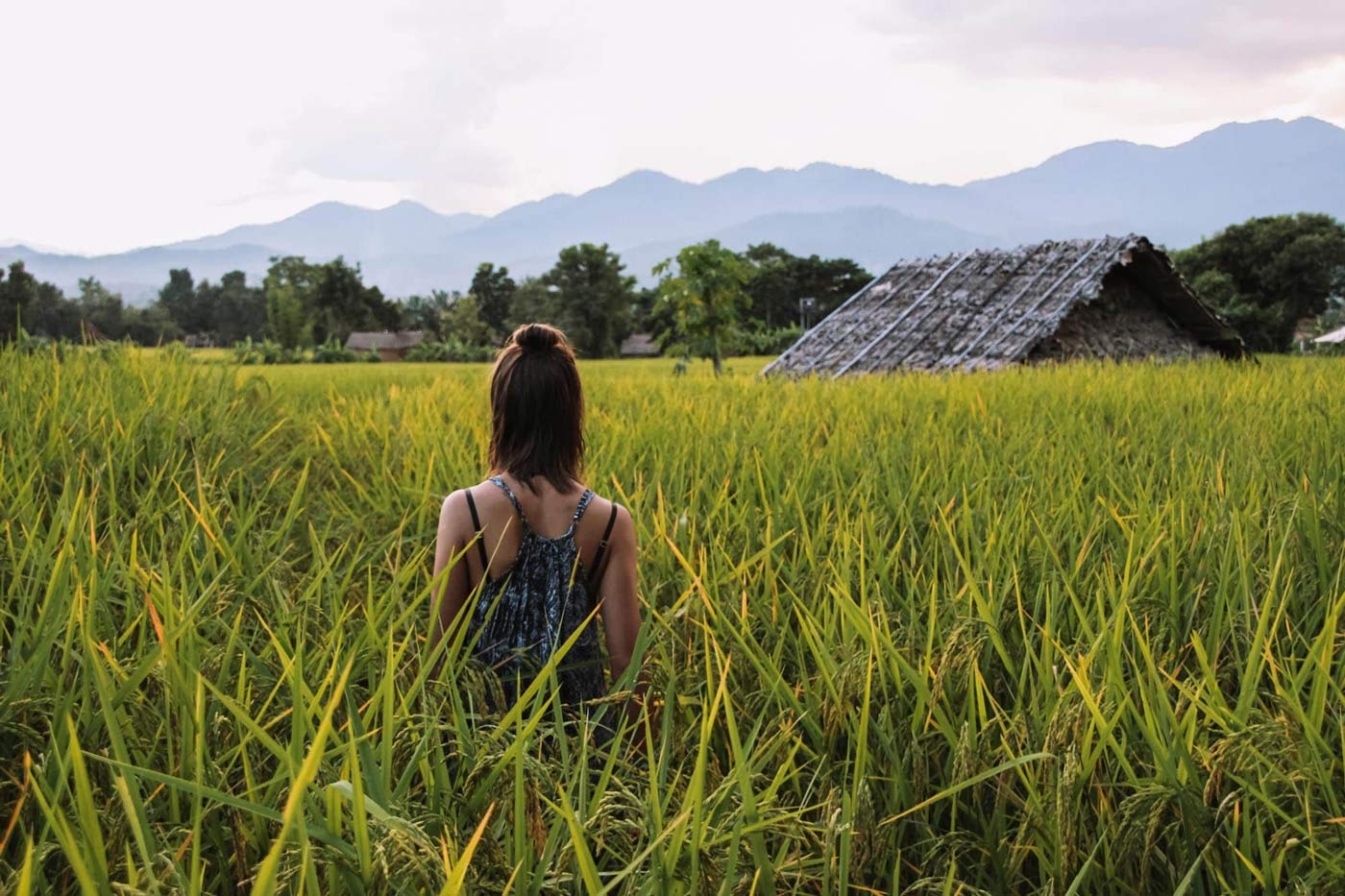 Pai: A Tranquil Haven in Northern Thailand - Things to Do