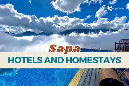 Top Sapa Hotels and Homestays for the Perfect Laid-Back Retreat