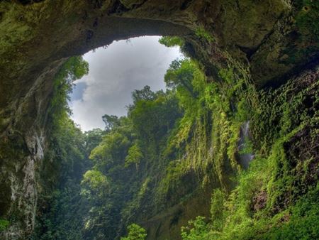 Vietnam and Laos National Parks Recognized as a Transboundary World Heritage Site