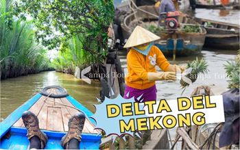 Delta del Mekong: guía para explorar lo terrestre - acuática