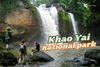 Khao Yai National Park: Where Nature Comes Alive