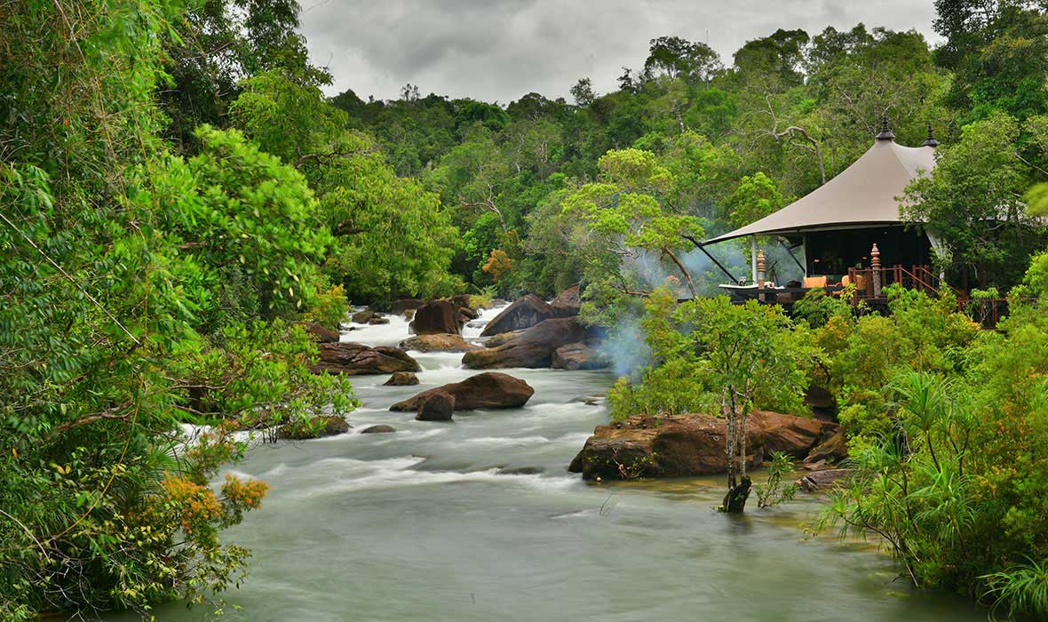 7 Reasons the Cardamom Mountains Are Unlike Anywhere Else