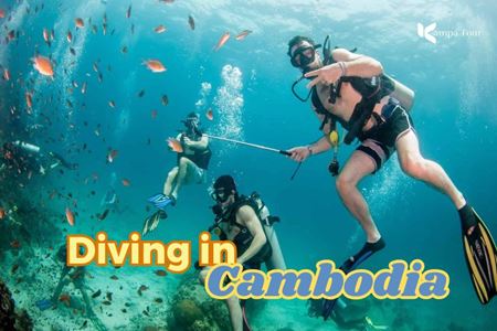 A day underwater in Cambodia: Top 7 stunning dive sites