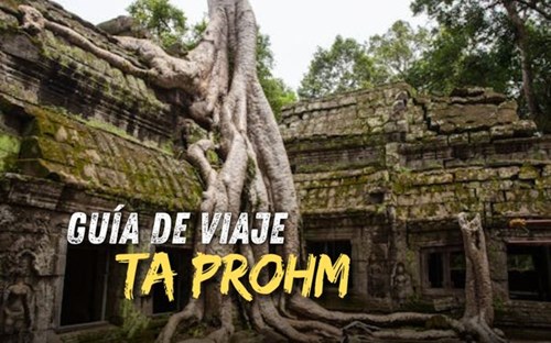 Ta Prohm: Templo misterioso bajo el abrazo de las raíces gigantes