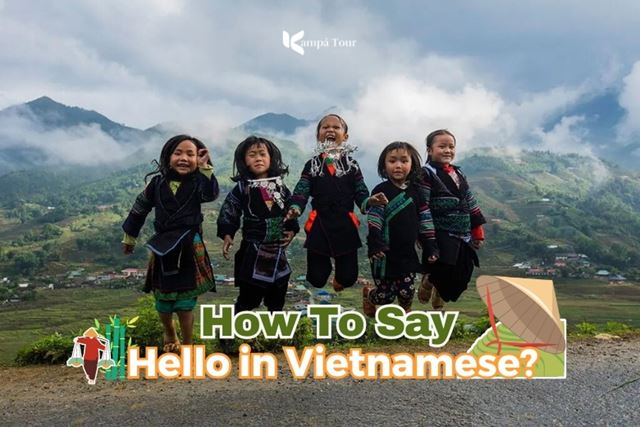 Hello in Vietnamese: Xin Chào & Common Tourist Greetings