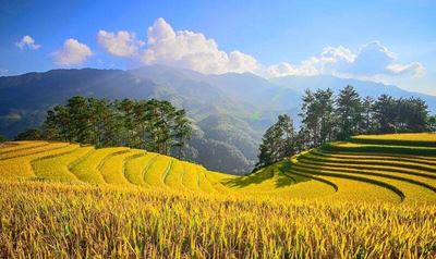 Vietnam in September: Experience the Breathtaking Beauty of Autumn