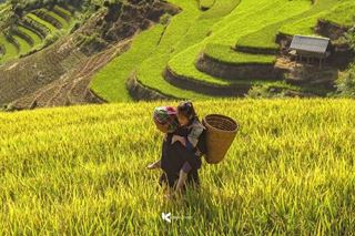 Vietnam in August: Weather and Best Places to Visit for 2026