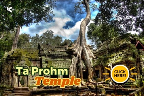 Ta Prohm: The Enigmatic Temple Enveloped by the Majestic Roots of Time