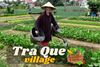 Trà Quế, the vegetable village in Hội An for a green interlude