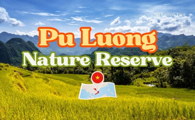Discover Pu Luong the local way: All you need to know