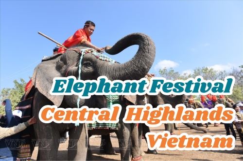 The Elephant Festival in the Central Highlands, Vietnam