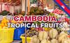 Top 12 Delicious Tropical Fruits of Cambodia