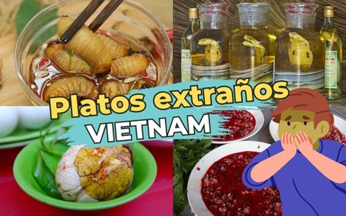 Qué no comer en Vietnam: 10 platos extraños que nunca has visto antes