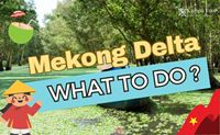 What to Do in Mekong Delta? Your Complete Guide