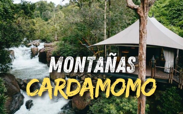 Montañas Cardamomo: naturaleza salvaje y lujo escondido en Camboya