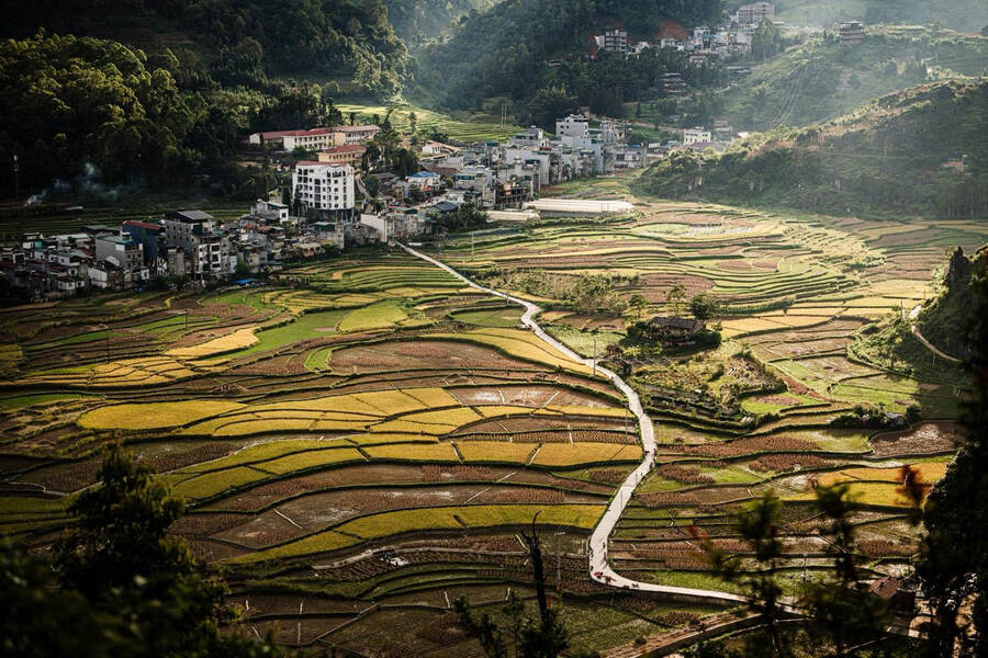 Homestay in Vietnam: The best way to live like a local!