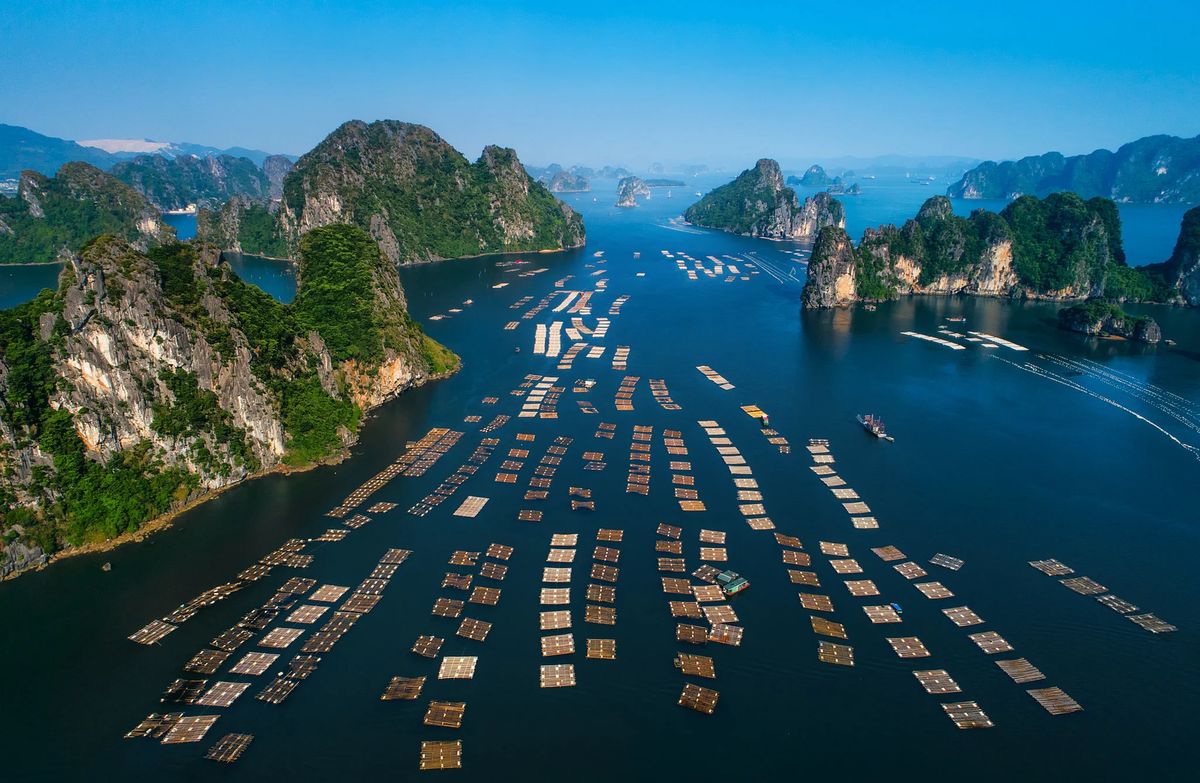 Bai Tu Long Bay: A Quieter, Less-Touristy Side of Ha Long Bay