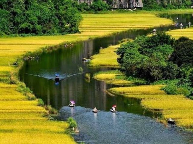 Ninh Binh in May: Catch Vietnam’s Most Beautiful Golden Season