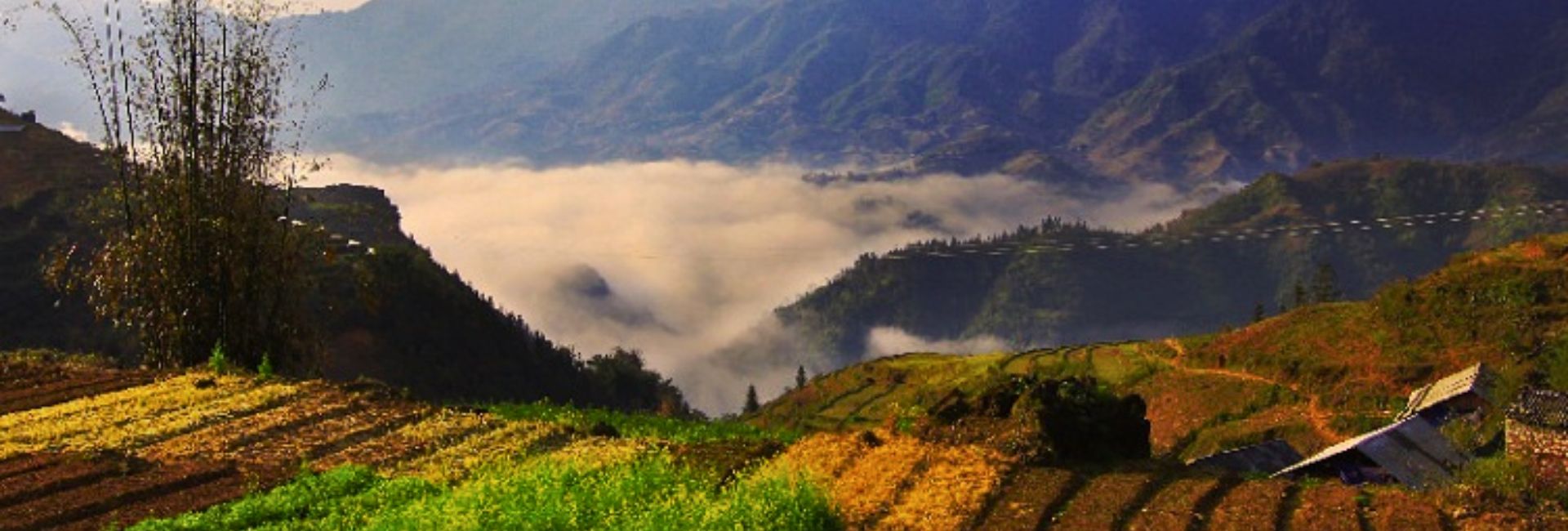 Sapa in March: What to Expect from Weather and Scenery