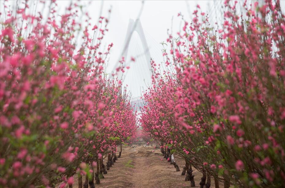 Hanoi Weather in March: Temperature, Humidity & Things to Do