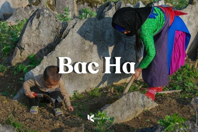 Bac Ha, Vietnam: 7 Best Things to Do in the White Plateau