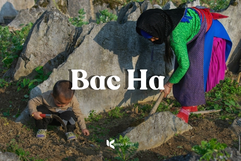 Bac Ha 101: 7 Highlights of Vietnams Northwest Ethnic Land