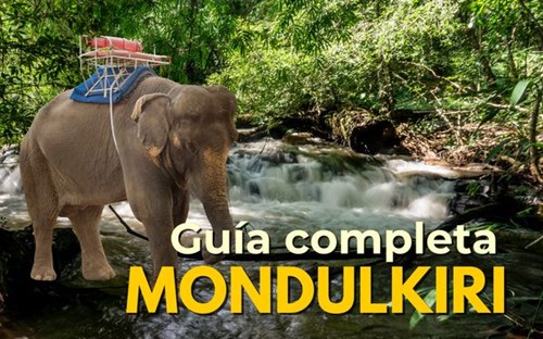 Guía de Mondulkiri: explora las tierras altas camboyanas