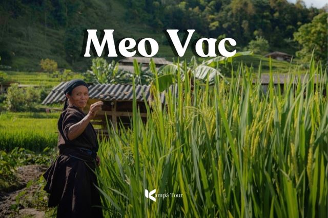 Meo Vac: The Most Worthwhile Stop on the Ha Giang Loop