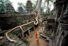 Ta Prohm: Templo misterioso bajo el abrazo de las raíces gigantes