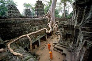 Ta Prohm: Templo misterioso bajo el abrazo de las raíces gigantes